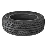 Otani EK20 205/55R16 91H All-Season Radial Tire